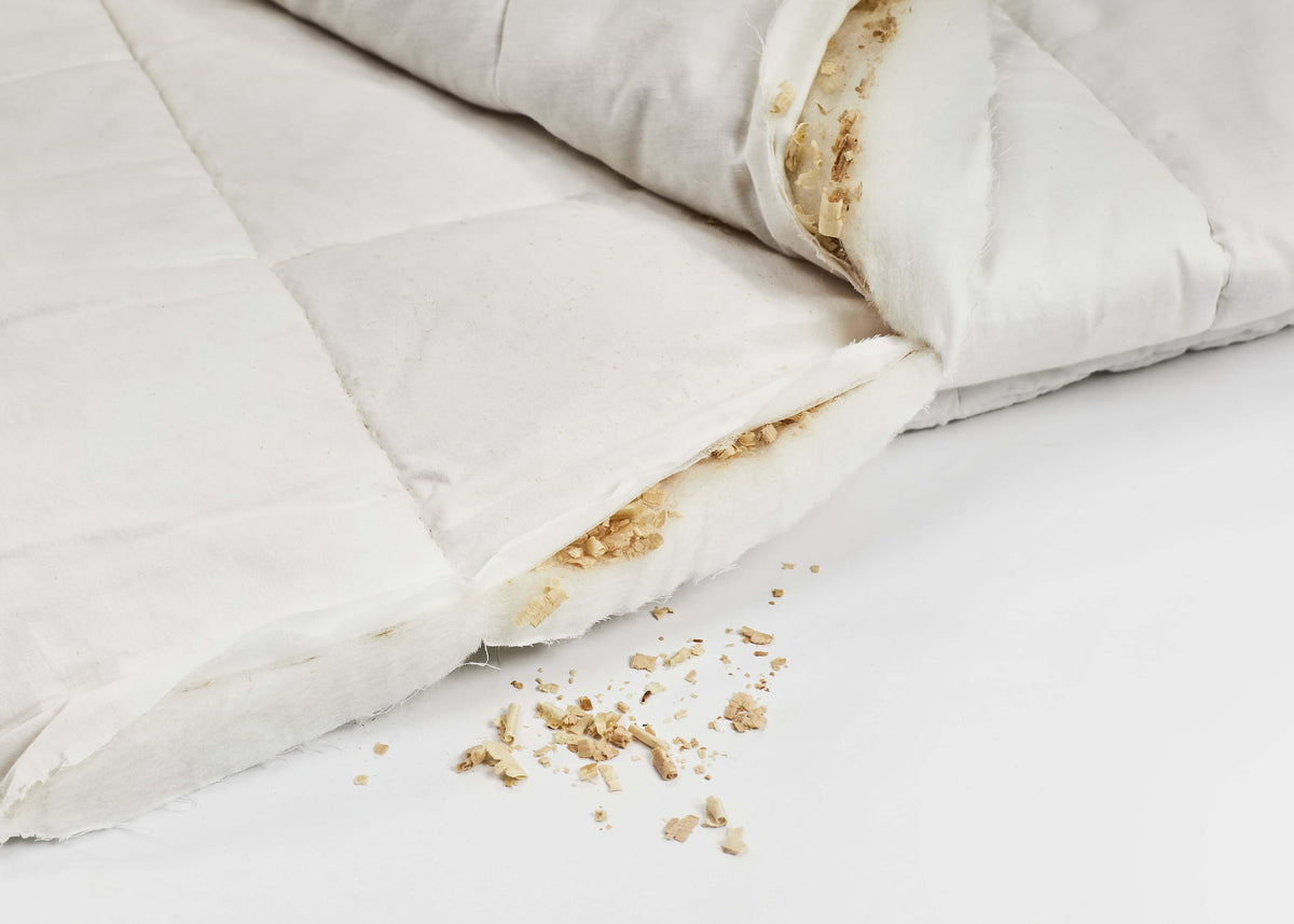 Detailaufnahme einer geöffneten Zirbendecke mit naturbelassener Füllung aus Tencel und österreichischen Zirbenflocken auf weißem Untergrund